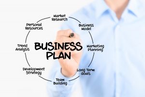 Professional business plan