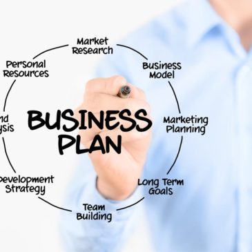 Professional Business Plan Development