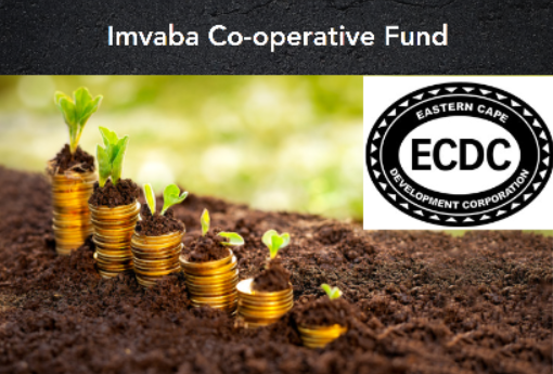 The Imvaba Cooperative Fund for Incentives & Institutional Building Support