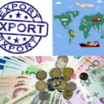 The Export Market Access Fund for Local Companies