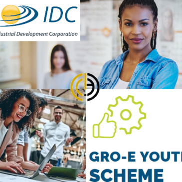 Gro-E Youth Scheme Grant for Financial & Non-financial Support
